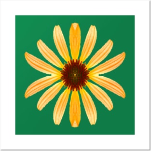 Yellow Daisy Posters and Art